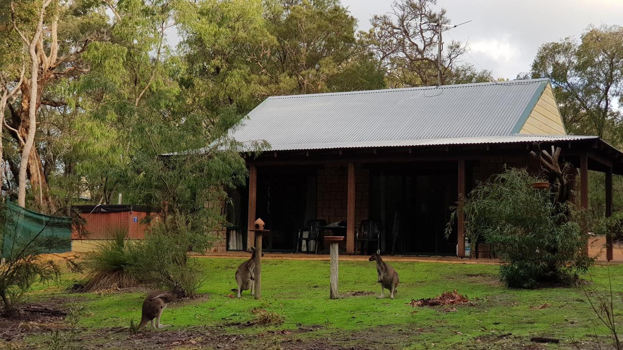 Yelverton Brook Conservation Sanctuary Metricup Exterior photo