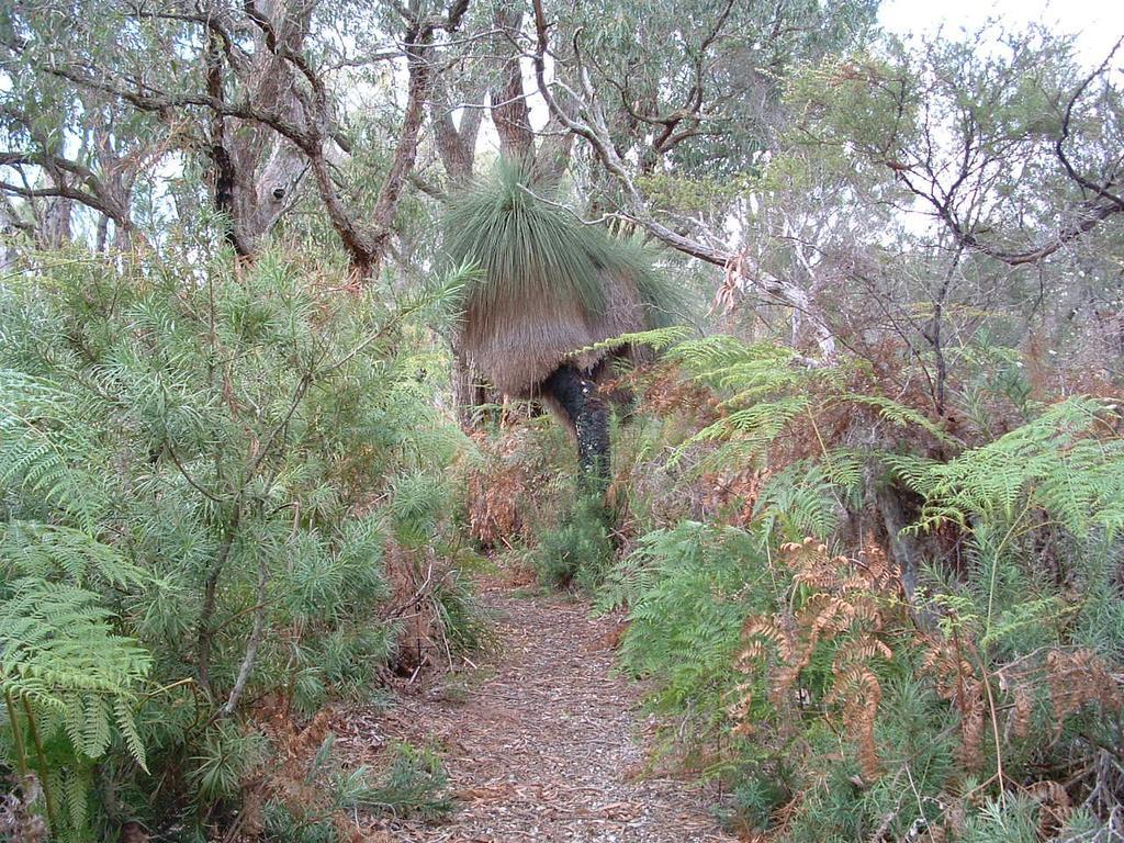 Yelverton Brook Conservation Sanctuary Metricup Exterior photo